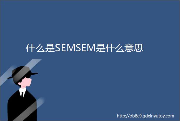 什么是SEMSEM是什么意思